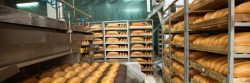Panaderia